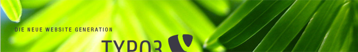 TypoHosting Typo3 CMS